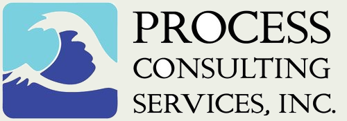 Process Consulting